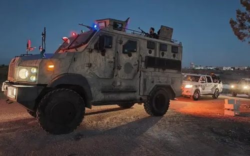 السويداء