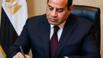 الرئيس عبد الفتاح السيسي يصدق على حزمة من القوانين الهامة لدفع عجلة التنمية.