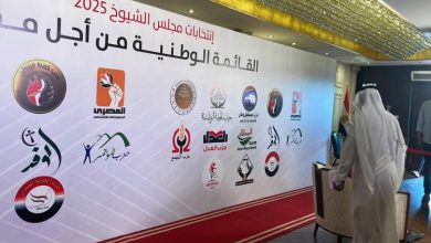 نتيجة انتخابات مجلس الشيوخ 2025