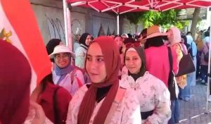 انتخابات مجلس الشيوخ
