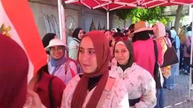 انتخابات مجلس الشيوخ