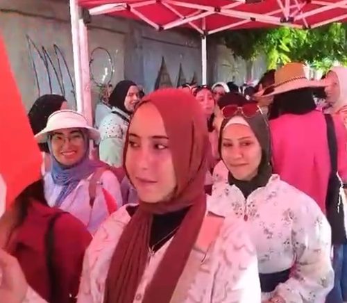 انتخابات مجلس الشيوخ