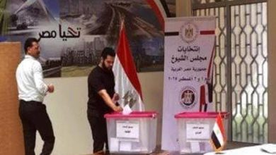 انتخابات مجلس الشيوخ