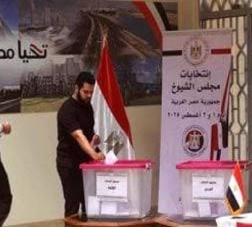 انتخابات مجلس الشيوخ