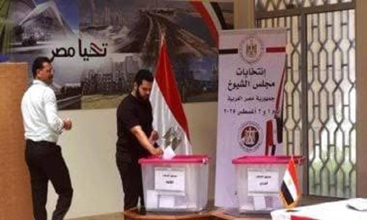 انتخابات مجلس الشيوخ