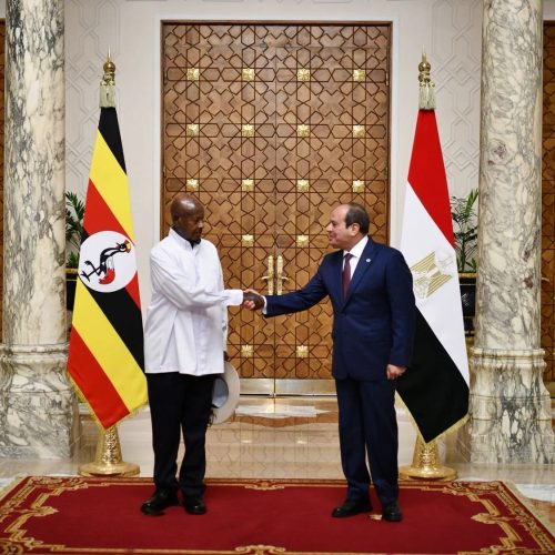 السيسي