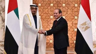 الرئيس السيسي والشيخ محمد بن زايد