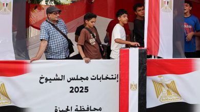 انتخابات مجلس الشيوخ