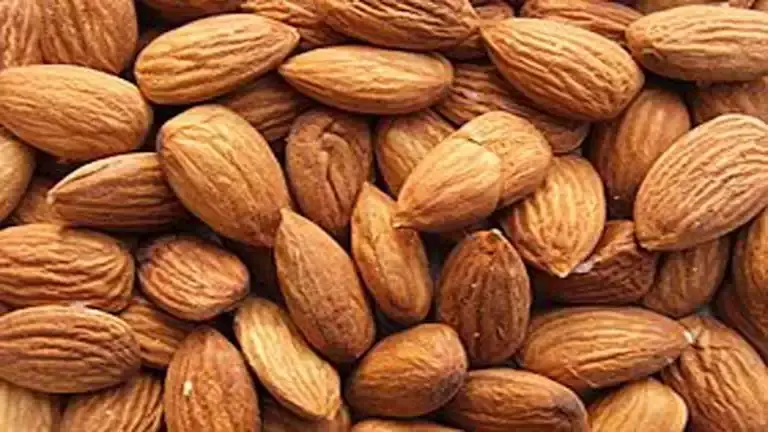 فوائد تناول 5 حبات لوز يوميا