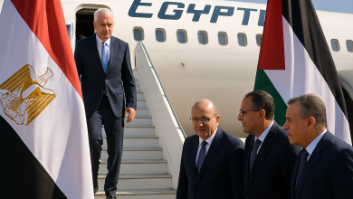 الوفد الفلسطيني في مصر