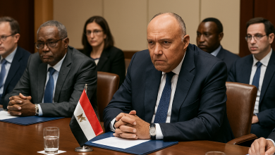 وزير الخارجية المصري يقود الجهود الدبلوماسية لحل الأزمة في السودان