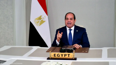 الرئيس السيسي الاعتراف بالدولة الفلسطينية القضية الفلسطينية حل الدولتين الضغط الدولي