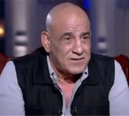 محمد لطفي