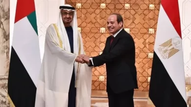 الرئيس السيسي الشيخ محمد بن زايد مصر والإمارات العلاقات الأخوية مصر الإمارات استقبال رئيس الإمارات