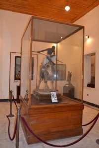 المتحف الزراعي المصري
تاريخ الزراعة المصرية
عيد الفلاح المصري
سراي الأميرة فاطمة إسماعيل
شيرين الشافعي
