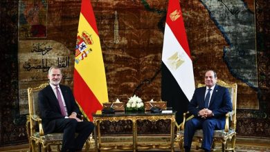 السيسي
