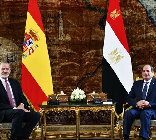 السيسي