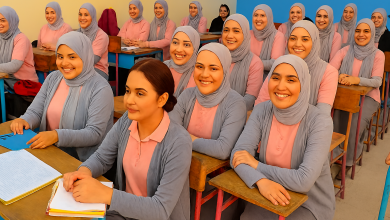 الخدمات بالمدارس المصرية