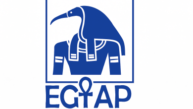 الملكية الفكرية والذكاء الاصطناعي: ورش عمل وزارة السياحة والآثار عبر EgTAP