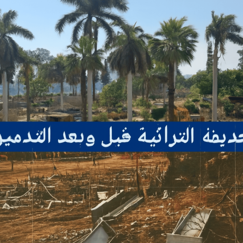 الزمالك التراثية هوية القاهرة الثقافية اعتداء على التراث المصري تطوير حدائق مصر وجيه الصقار