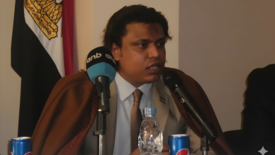 النادي الدولي لسفراء السلام الأطراف الليبية