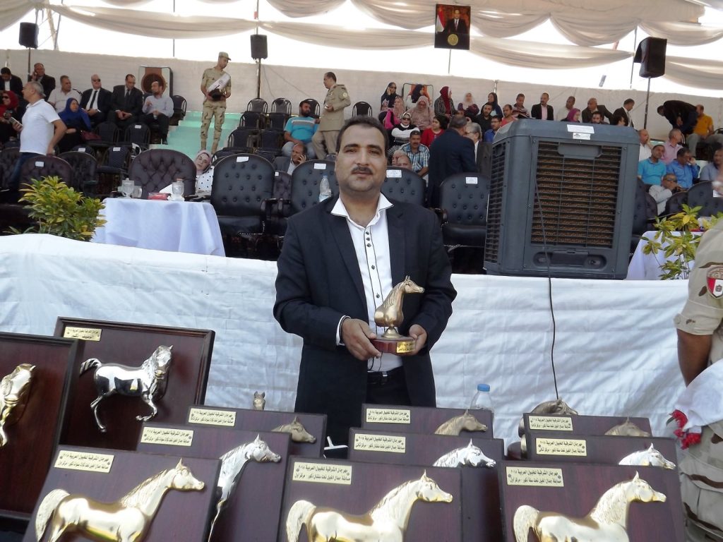 مهرجان الخيول العربية نقل مهرجان الخيول بلبيس العاشر من رمضان تراث الخيول الأصيلة منصور عبدالمنعم