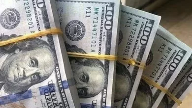سعر الدولار
