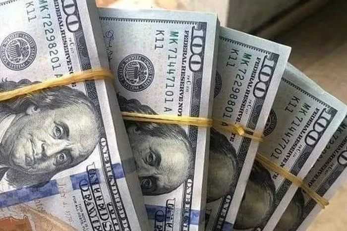 سعر الدولار