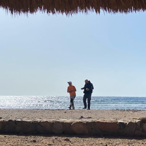 صورة لمحمية نبق في جنوب سيناء تظهر أشجار المانجروف، ترمز لرحلات عبد الرحيم العرجان في هذه المنطقة الطبيعية