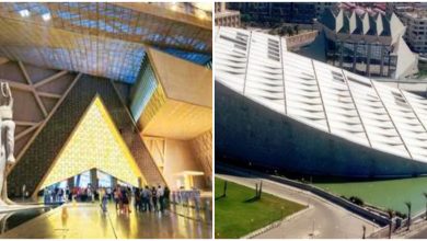 مكتبة الإسكندرية