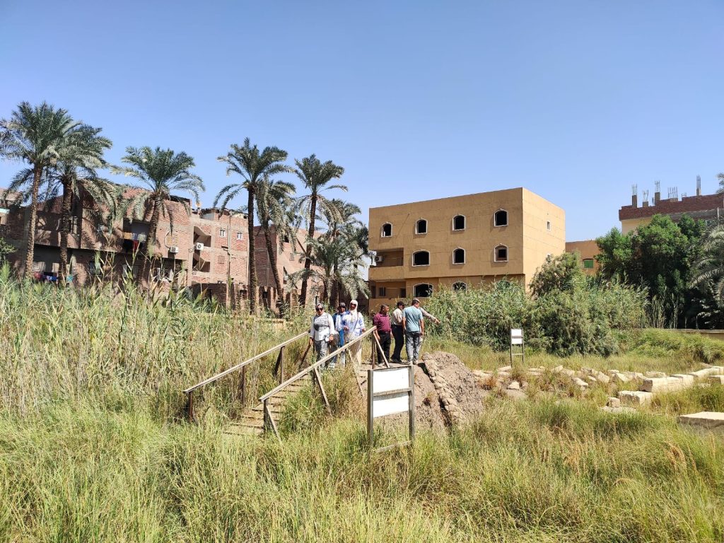 إزالة الحشائش بآثار ميت رهينة 2025 حماية الآثار المصرية المجلس الأعلى للآثار إدارة الأزمات بالآثار 