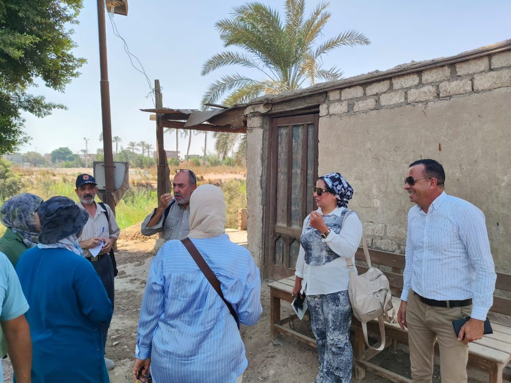 بالصور.. إدارة الأزمات بالآثار تخطط لإزالة الحشائش بآثار ميت رهينة