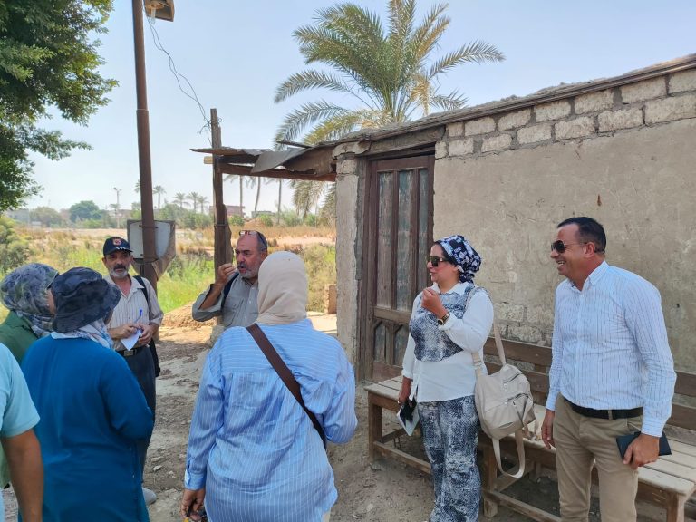 بالصور.. إدارة الأزمات بالآثار تخطط لإزالة الحشائش بآثار ميت رهينة