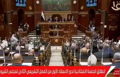 مجلس الشيوخ