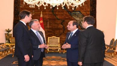 السيسي