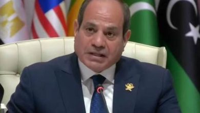 السيسي