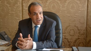 المصريين المختطفين في مالي، وزير الخارجية المصري، بدر عبد العاطي، عبد الله ديوب، العلاقات المصرية المالية، أمن الجالية المصرية