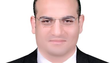 المال السياسي، سلوك القطيع، الانتخابات البرلمانية، علاء الدماصي، مقالات رأي