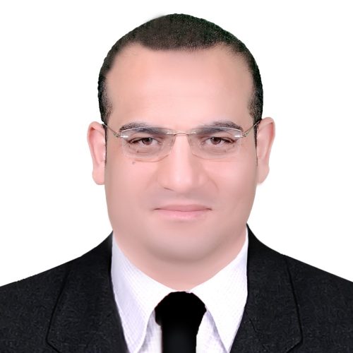 المال السياسي، سلوك القطيع، الانتخابات البرلمانية، علاء الدماصي، مقالات رأي