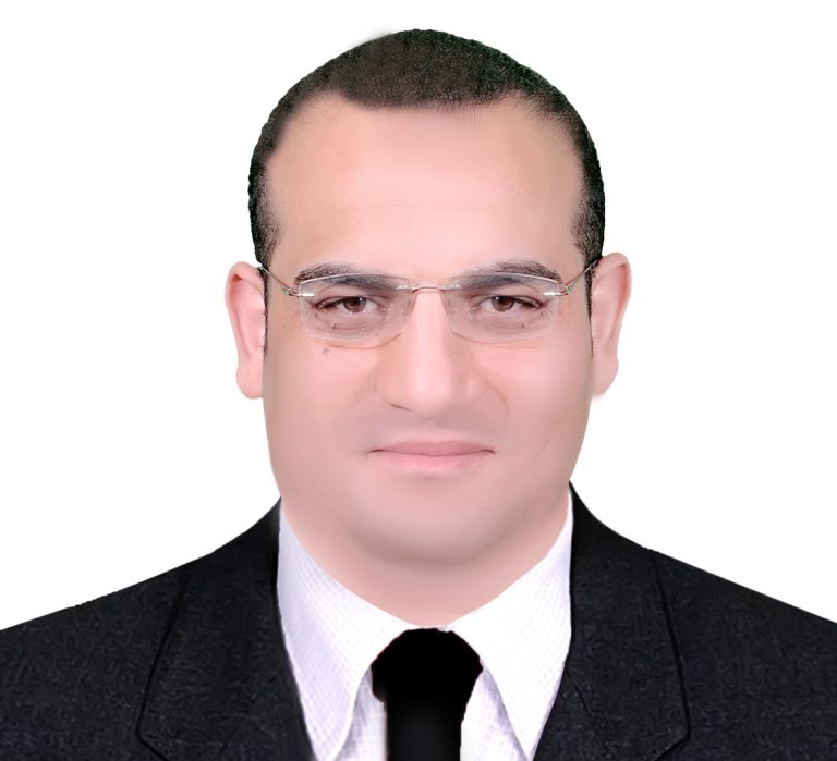 المال السياسي، سلوك القطيع، الانتخابات البرلمانية، علاء الدماصي، مقالات رأي