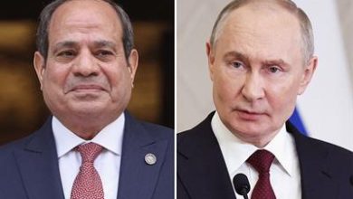 الضبعة; الوحدة الرابعة; صب الخرسانة; مشروع الضبعة النووي; شراكة مصر روسيا