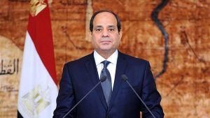 الجراحة الاقتصادية في مصر، دعم البوتاجاز، إصلاح الدعم الحكومي، مستقبل الاقتصاد المصري