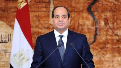الجراحة الاقتصادية في مصر، دعم البوتاجاز، إصلاح الدعم الحكومي، مستقبل الاقتصاد المصري