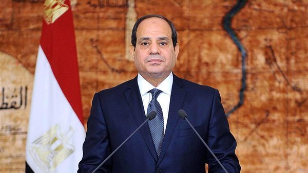 الجراحة الاقتصادية في مصر، دعم البوتاجاز، إصلاح الدعم الحكومي، مستقبل الاقتصاد المصري