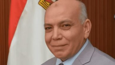 المشاركة الإيجابية, انتخابات مجلس النواب 2025, ابراهيم درويش, الوعي السياسي, الانتخابات المصرية
