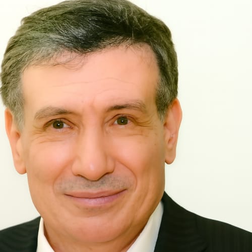 وجيه الصقار المتحف المصري الكبير