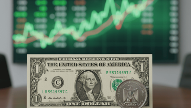 سعر الدولار، الجنيه المصري، سعر الدولار اليوم، البنوك المصرية، مصرف أبوظبي، البنك الأهلي
