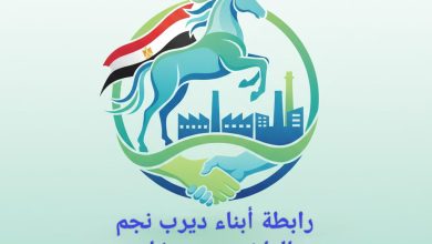 مصطفى الشحات مركز ديرب نجم، العمل المجتمعي، محسن ناصف رابطة أبناء ديرب نجم