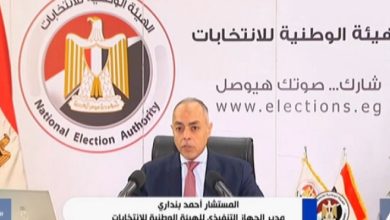 الهيئة الوطنية للانتخابات, غرامة المتخلفين عن التصويت, انتخابات مجلس النواب 2025, المشاركة السياسية
