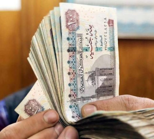 مرتبات شهر نوفمبر